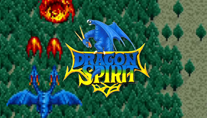 Dragon Spirit Arcade Game